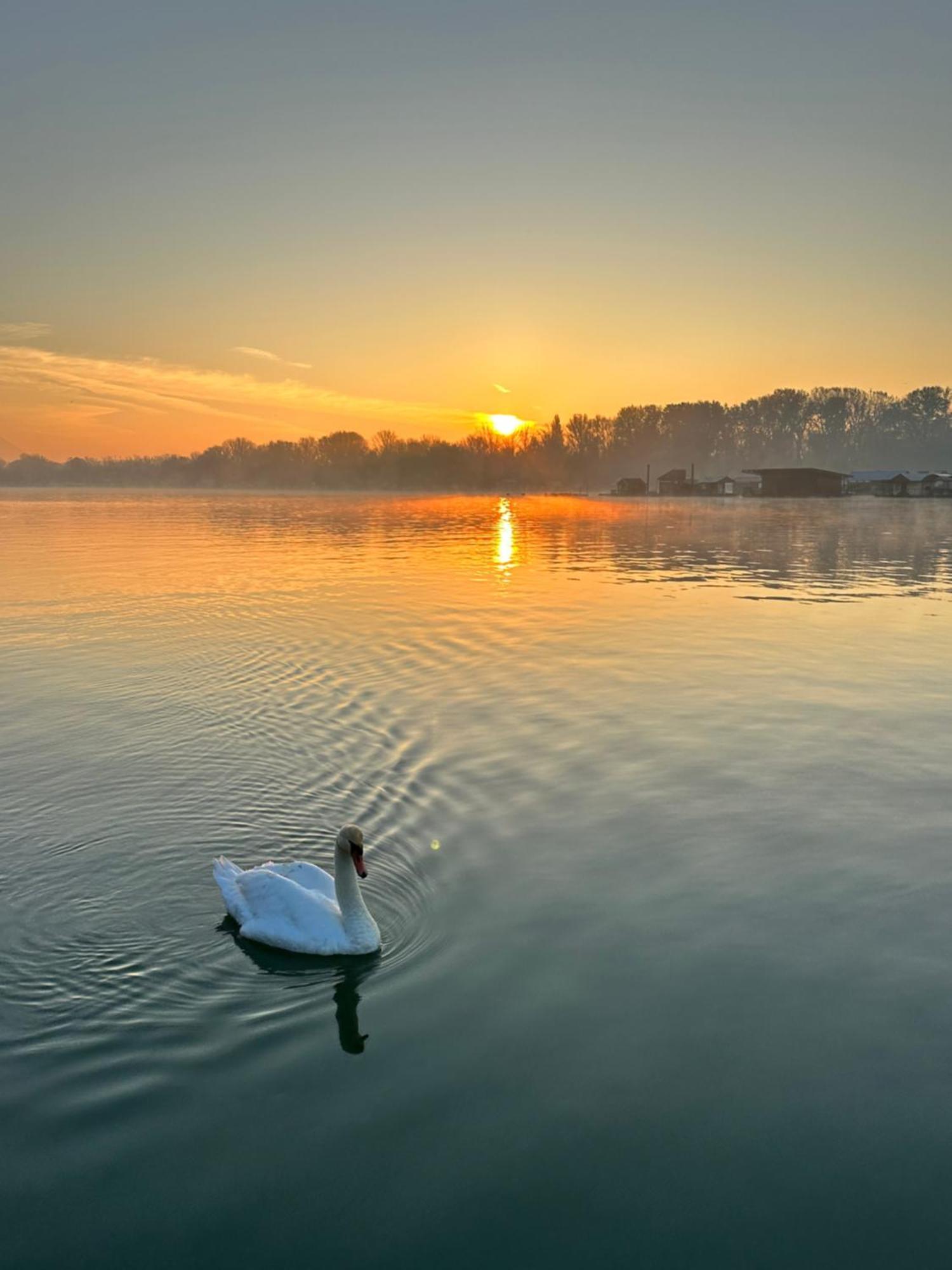 Swan Hotel Belgrado Buitenkant foto